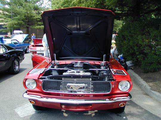 P6290553