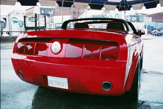 2005 Mustang 5