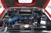 ford100-0251