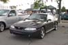 ford100-0259
