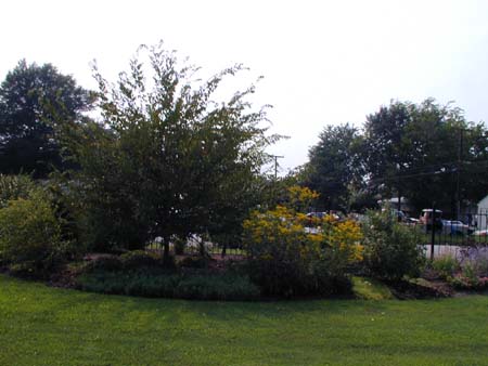 P8160223