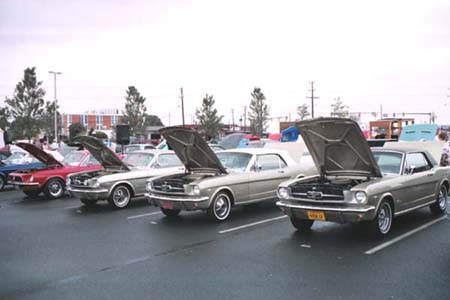 acvmc19th018
