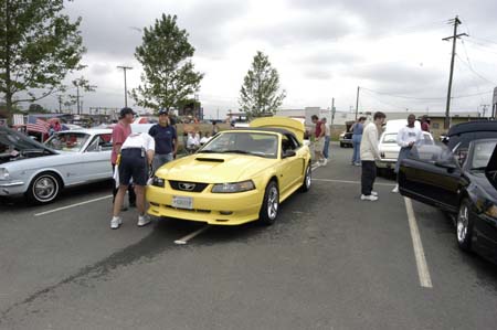 cvmc19th028