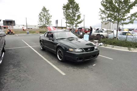 cvmc19th029