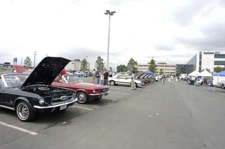 cvmc19th055