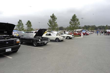 cvmc19th063