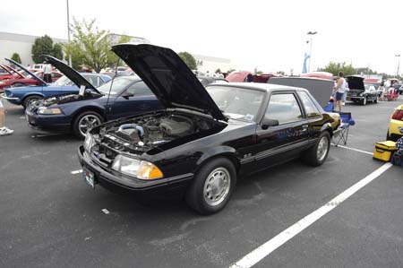 bnc_048