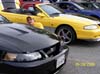 cvmc13-2005