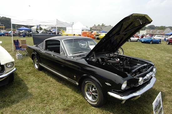 vic7show_078